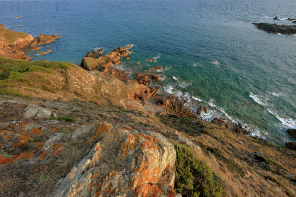 France, Manche (50) Jobourg, littoral maritime de la Hague proche du Nez-de-Jobourg / France, Manche Jobourg, maritime coast, of La Hague near Nez-de-Jobourg /
