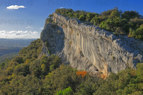 France, Gard(30) Allègre-les-Fumades, espace naturel Natura 2000, Falaise du massif du Bouquet, les Garrigues de Lussan / France, Gard Allègre-les-Fumades, Natura 2000 natural area, Cliff of the Bouquet massif, Les Garrigues de Lussan