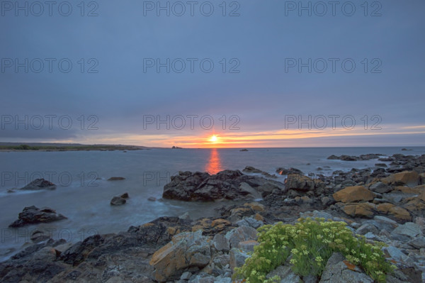 France, Manche (50) Omonville-la-Rogue, la pointe de Jardeheu l'anse ST-Martin au soleil couchant / France, Manche Omonville-la-Rogue, the Jardeheu point, the ST-Martin cove at sunset
