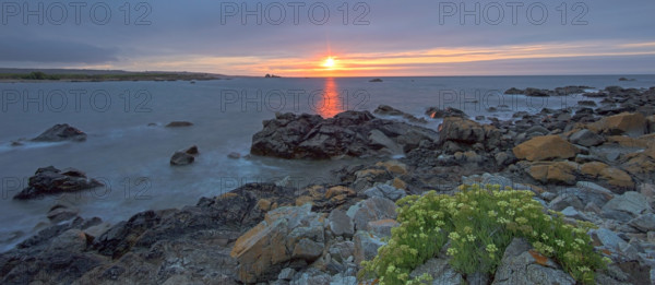 France, Manche (50) Omonville-la-Rogue, la pointe de Jardeheu l'anse ST-Martin au soleil couchant / France, Manche Omonville-la-Rogue, the Jardeheu point, the ST-Martin cove at sunset