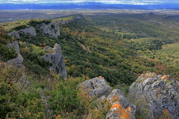 France, Gard(30) Occitanie, Brouzet-Lès-Alès, le massif du Mont Bouquet, la Tour du Castellas, paysage gardois, Cévenol / France, Gard Occitanie, Brouzet-Lès-Alès, the Mont Bouquet massif, the Castellas Tower, Gard landscape, Cévenol /