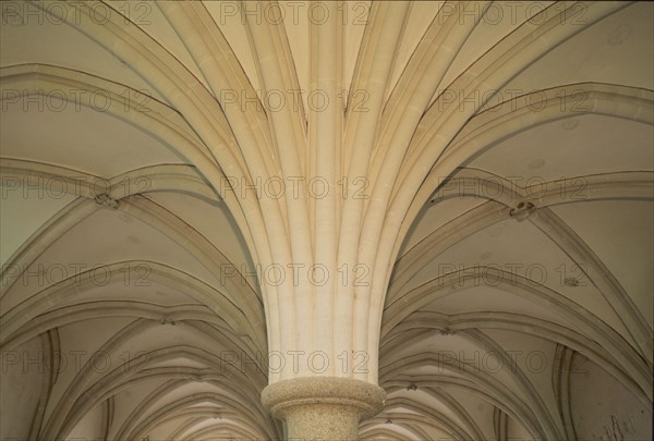 France, Normandie, sud Manche, abbaye d'hambye, vestiges, monument religieux, architecture gothique, voute nervuree,