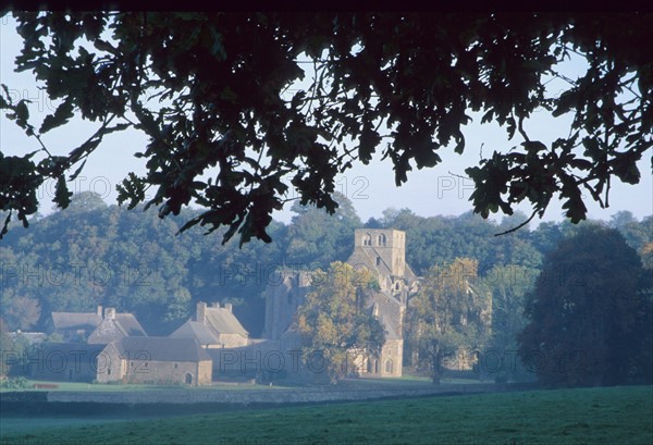 France, Normandie, sud Manche, abbaye d'hambye, vestiges, monument religieux, architecture gothique,