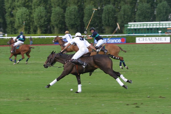 France, Basse Normandie, calvados, cote fleurie, deauville, polo, sport cheval, competition barriere golden, polo cup, hippodrome,