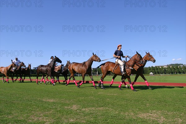 France, Basse Normandie, calvados, cote fleurie, deauville, polo, sport cheval, competition barriere golden, polo cup, hippodrome, petiseros, chevaux,