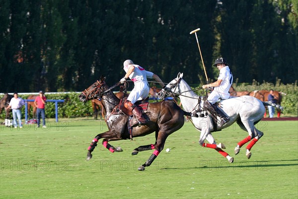 France, Basse Normandie, calvados, cote fleurie, deauville, polo, sport cheval, competition barriere golden, polo cup, hippodrome,