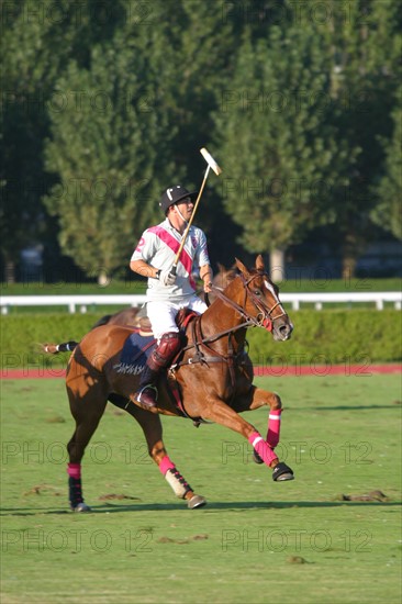 France, Basse Normandie, calvados, cote fleurie, deauville, polo, sport cheval, competition barriere golden, polo cup, hippodrome,