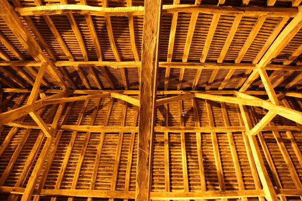 France, Normandie, calvados, cote fleurie, dives sur mer, charpente de bois de l'ancienne halle du marche (samedi matin)