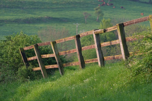 France, Basse Normandie, calvados, pays d'auge, cloture, haras, ruMesnil, colline, vallon,