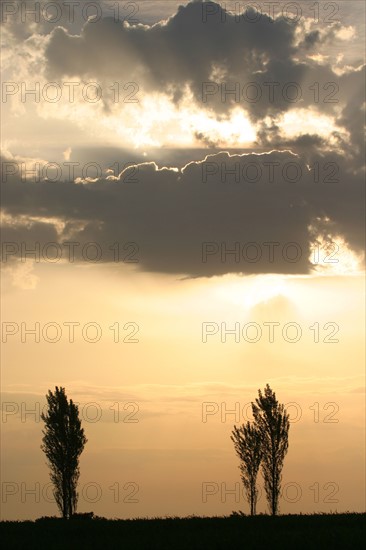 France, pays d'auge