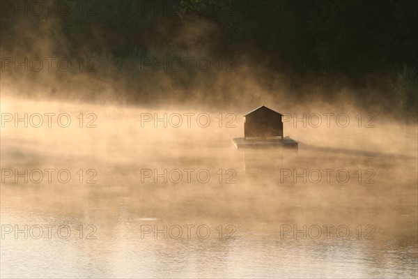 France, Normandie, Calvados, cote fleurie, saint arnoult, petit matin sur un bras de la touques, vapeur, cabane pour oiseaux, froid,