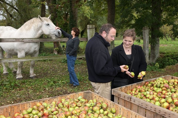 France, Normandie, Calvados, fierville Bray, ferme des 5 autels, jean rene Pitrou, agriculture biologique, reseau bienvenue a la ferme, presentation de la ferme, cheval blanc, personnages autorises,