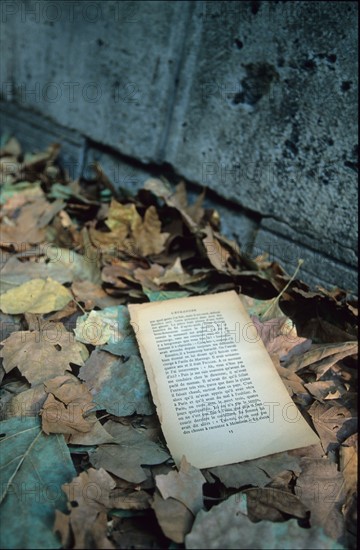 france, Paris 6e, bonnes feuilles
quai de montebello, livre, caniveau, bouquinistes,