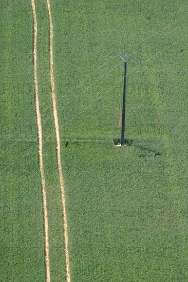 France, Haute Normandie, eure, agriculture, champs cultives, vert, cereales, poteau electrique, vue du sommet de la cote des deux amants
amfreville sous les monts,