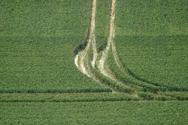 France, Haute Normandie, eure, agriculture, champs cultives, vert, cereales, traces de roues de tracteur, vue du sommet de la cote des deux amants
amfreville sous les monts,