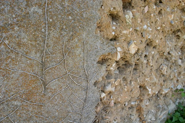 France, terracotta wall