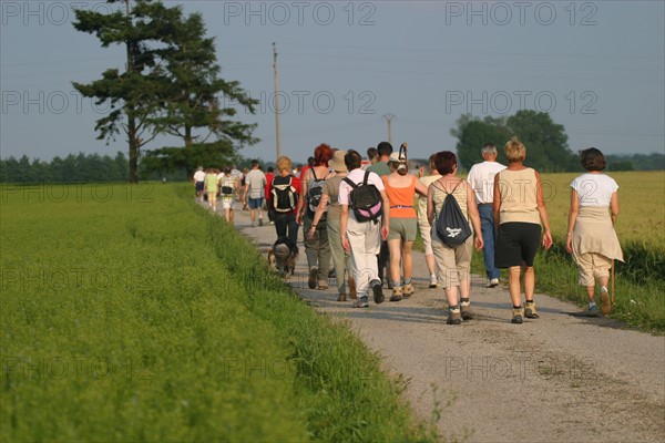 France, Haute Normandie, eure, pays de risle estuaire, randonnee, balades a la fraiche, groupe de randonneurs, chemins, loisir, marche,