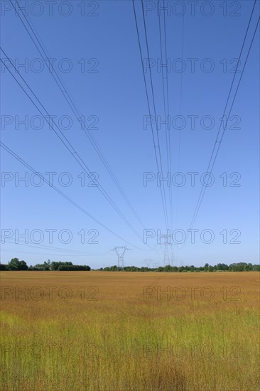 France, agriculture