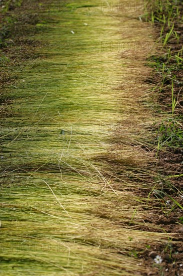 France, agriculture