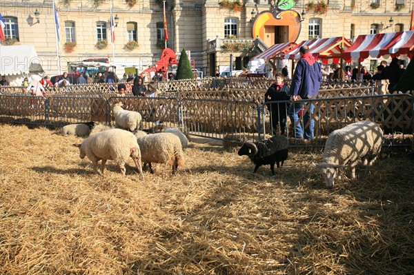 France, evreux