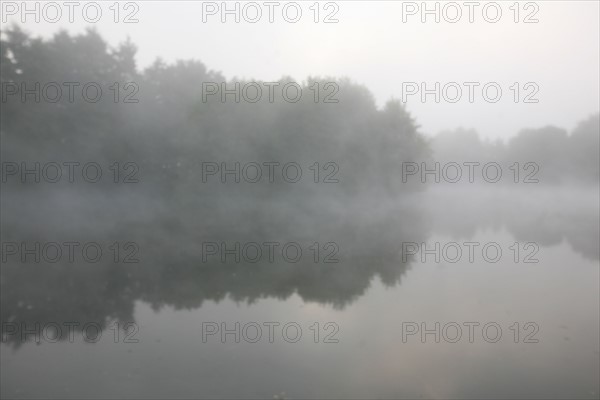 France, Haute Normandie, eure, promenade autour des etangs de la communaute de communes de pont audemer, plan d'eau, brume matinale,