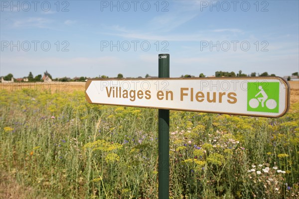 France, gauciel