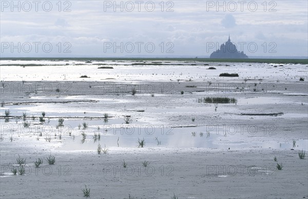 France, Normandie, Manche, baie du Mont-Saint-Michel, maree basse, vegetation, salicorne, polders, Ille et Vilaine,