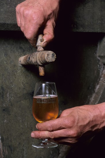 France, Normandie, Calvados, pays d'auge, fourneville, cidre tire au tonneau, Jacques gilles, agriculteur, verre de cidre,