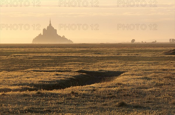 France, Normandie, Manche, baie du Mont-Saint-Michel, maree basse, vegetation, salicorne, polders, Ille et Vilaine, lever de soleil,