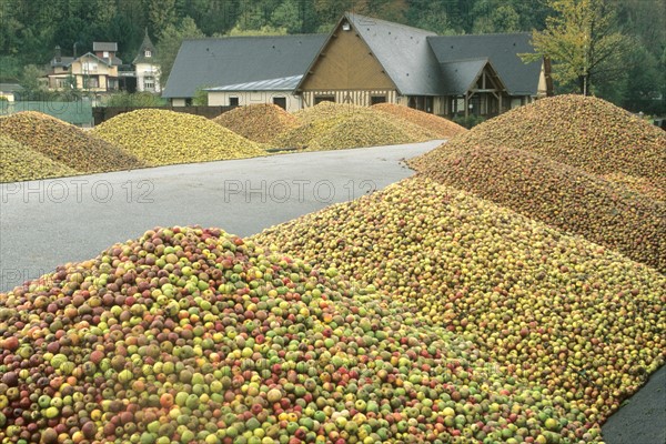 France, apple cider