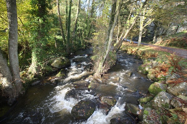 France, Normandie, Manche, la fosse arthour, saint georges de rouelley, riviere, cours d'eau, cascade, arbres, chemin,