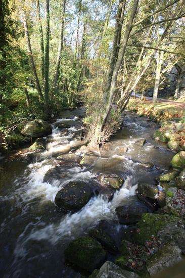 France, Basse Normandie, Manche, pays de la baie du Mont-Saint-Michel, site de la fosse arthour, eau, cours d'eau, rochers, arbres