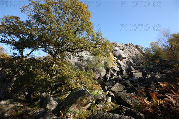 France, Basse Normandie, Manche, pays de la baie du Mont-Saint-Michel, site de la fosse arthour, eau, cours d'eau, rochers, arbres