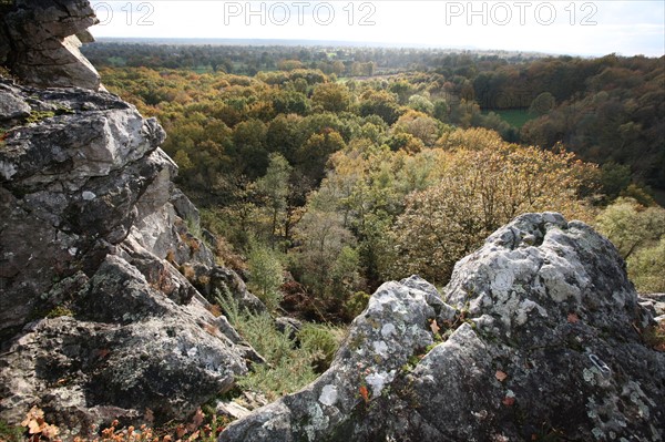 France, Basse Normandie, Manche, pays de la baie du Mont-Saint-Michel, site de la fosse arthour, eau, cours d'eau, rochers, arbres, vue sur la "lande pourrie", panorame,