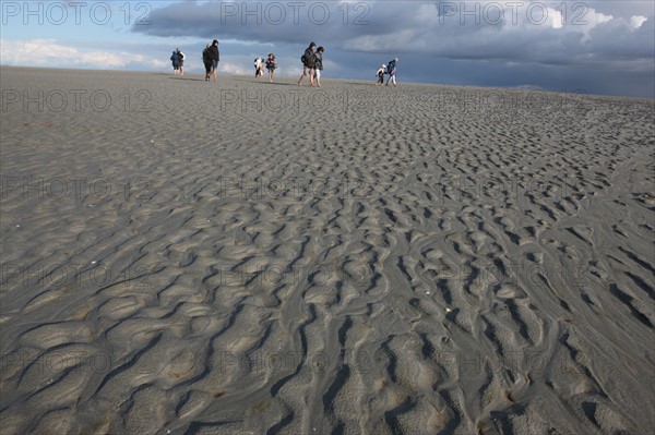 France, Normandie, Manche, baie du Mont-Saint-Michel, traversee des greves, maree basse, ciel d'orage, randonnee, guide des chemins de la baie, sable onde,