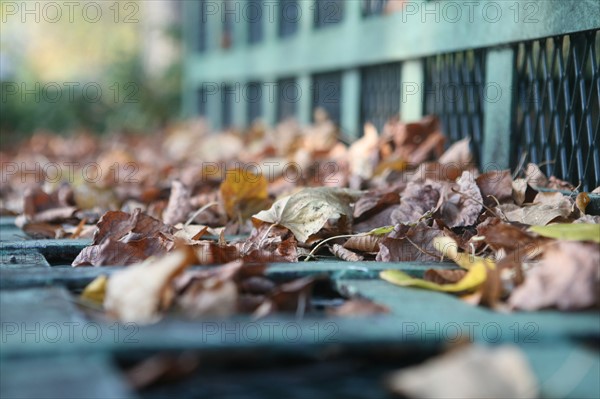 france, Paris 1er les halles, feuilles mortes, jardins,