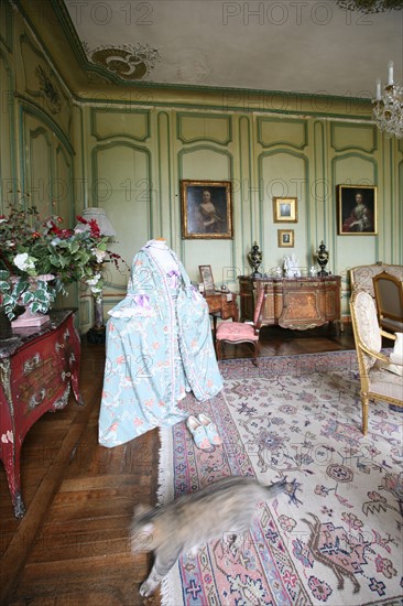 France, Normandie, Seine Maritime, pays de Caux maritime, ermenouville, chateau de Mesnil geoffroy, salon, robe du 18e siecle et chat qui passe, costume historisque destinee a des soiree d'epoque,