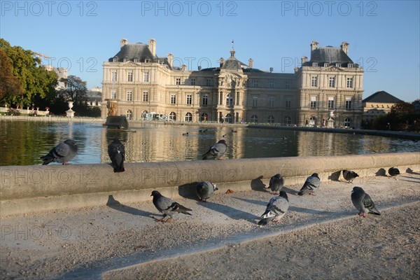 France, gardens