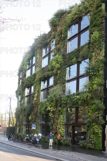 France, paris 7e, musee du quai branly, mur vegetal concu par patrick blanc,