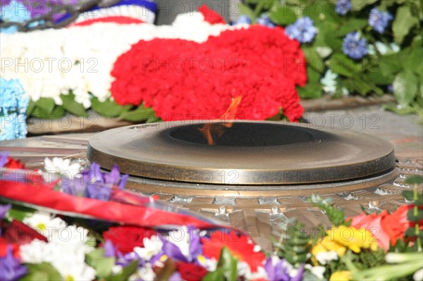 France, Paris 8e, arc de triomphe, place de l'etoile, patriotisme, bleu blanc rouge, commemoration du 11 novembre, flamme du soldat inconnu