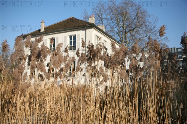 France, Paris 12e, parc de Bercy, pavillon, roseaux,