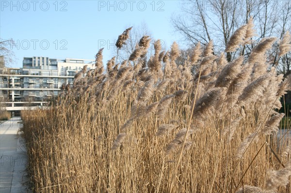 France, bercy park