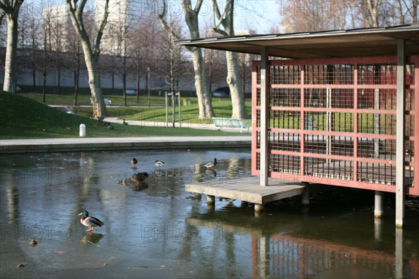 France, Paris 12e, parc de Bercy, pavillon, plan d'eau gele, hiver, canards,