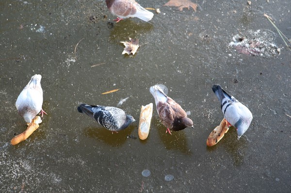 France, bercy park