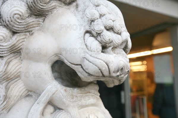 France, Paris 13e, quartier chinois, commerce, magasin, avenue d'italie, 
dragon,