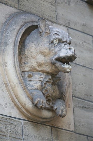 France, dogs on front of townhouse