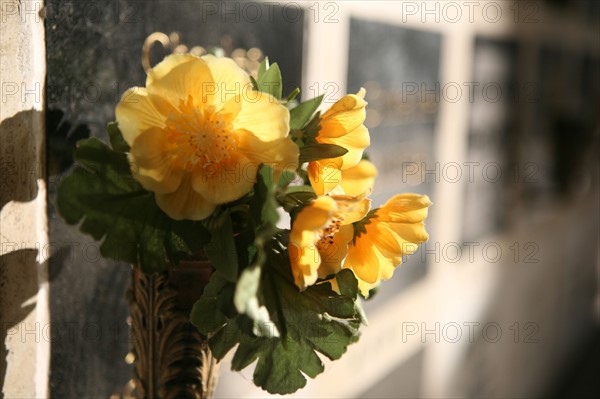 France, Paris 20e, cimetiere du pere Lachaise, colombarium, plaques, souvenir, fleurs