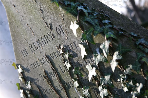 France, Paris 20e, cimetiere du pere Lachaise, pierre tobale et vegetation, mousse, memoire