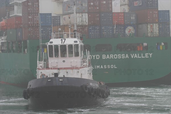 France: Normandie, Seine Maritime, le havre, port de commerce, porte conteneurs, containers, cargo, navire, bateau, marine marchande, commerce international, mondialisation, ecluse francois 1er, brume, remorqueur abeille,