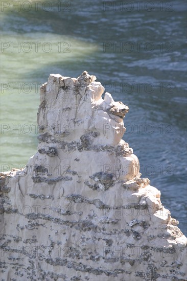 France, cote d'albatre
